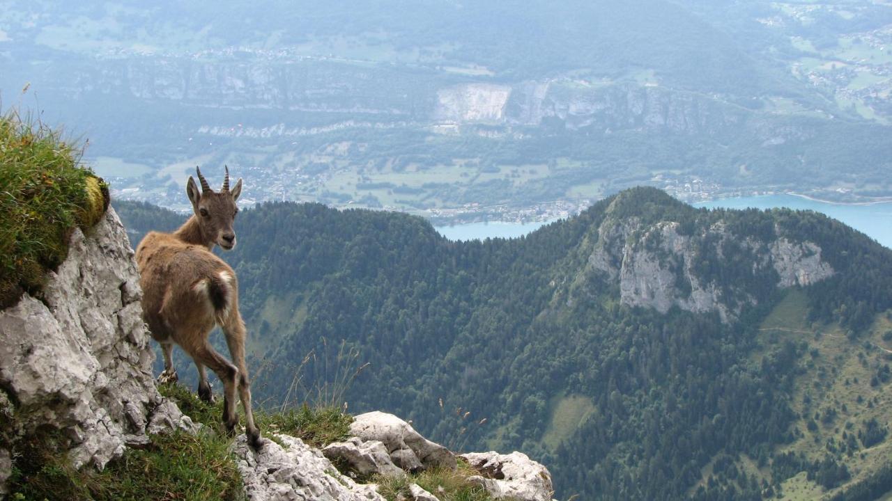 Escale Du Chateau De Promery 1389 Annecy Esterno foto